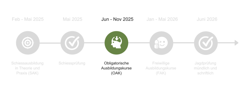 Übersicht Jahresprogramm Jagdausbildung 2024/2025